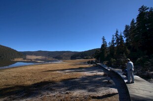 普达措森林公园