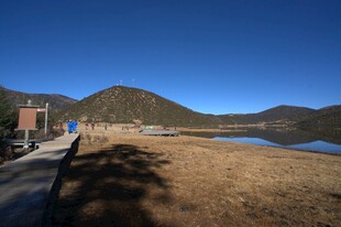 普达措森林公园