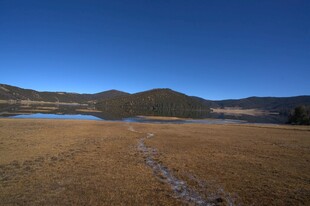 普达措森林公园