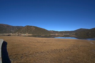 普达措森林公园