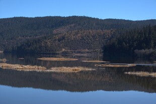 普达措森林公园