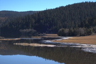 普达措森林公园