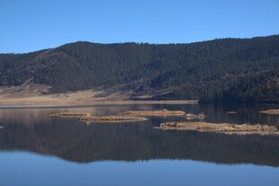 普达措森林公园