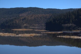 普达措森林公园