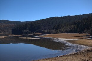 普达措森林公园