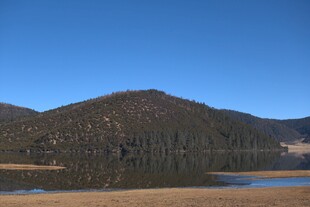 普达措森林公园