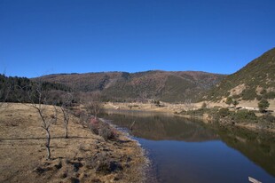 普达措森林公园