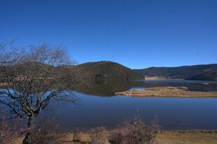 普达措森林公园