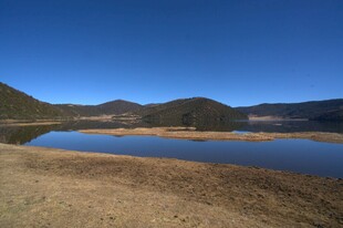 普达措森林公园