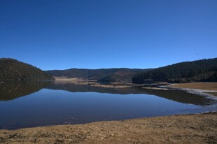 普达措森林公园