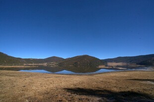 普达措森林公园