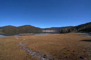 普达措森林公园