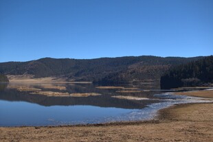 普达措森林公园