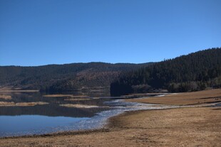 普达措森林公园