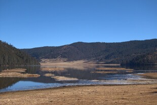 普达措森林公园