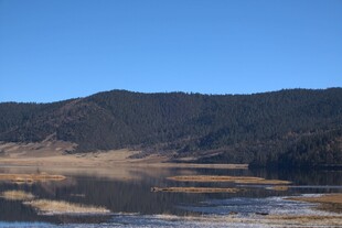 普达措森林公园