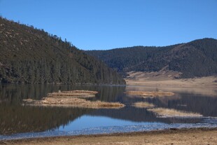 普达措森林公园