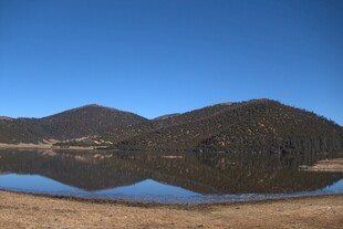普达措森林公园