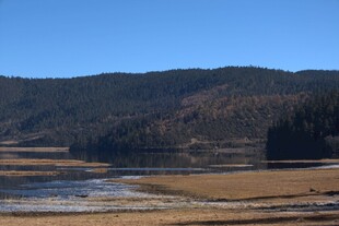 普达措森林公园