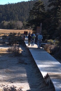 普达措森林公园