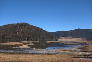 普达措森林公园