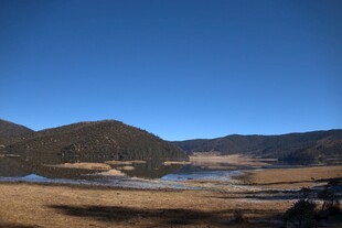 普达措森林公园