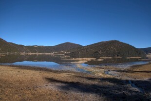 普达措森林公园