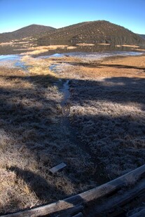 普达措森林公园
