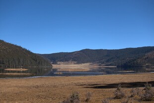 普达措森林公园