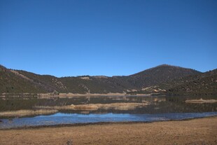 普达措森林公园