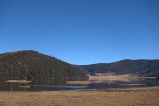 普达措森林公园