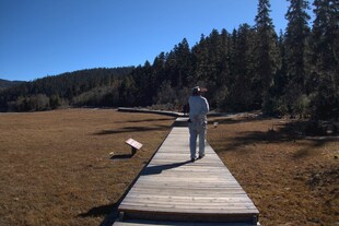 普达措森林公园