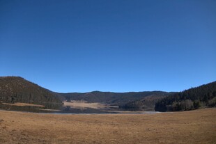 普达措森林公园