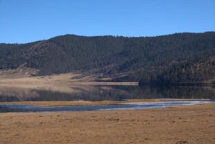 普达措森林公园