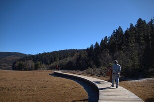 普达措森林公园