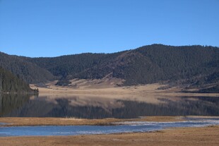 普达措森林公园