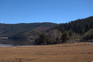 普达措森林公园