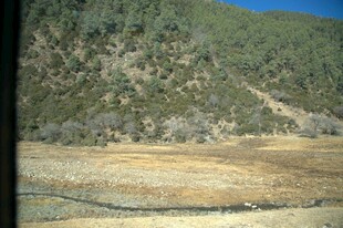 普达措森林公园