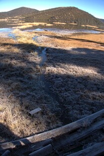 普达措森林公园