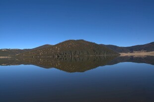 普达措森林公园