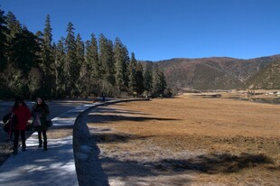 普达措森林公园