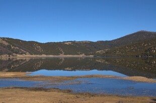 普达措森林公园