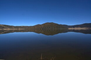 普达措森林公园