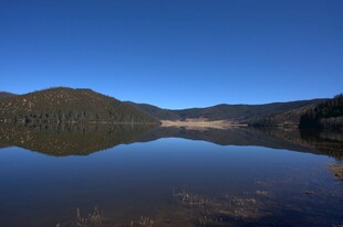 普达措森林公园