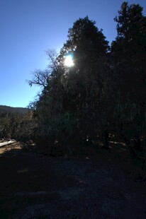 普达措森林公园