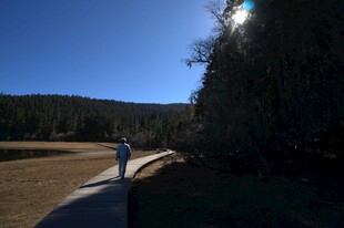 普达措森林公园