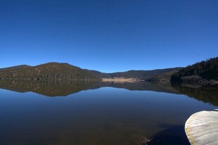 普达措森林公园