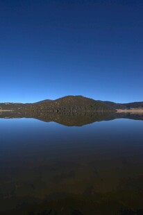 普达措森林公园