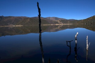 普达措森林公园