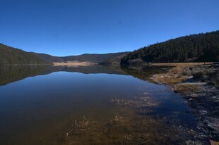 普达措森林公园